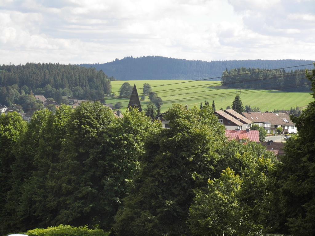 Fewo Schroeder - Harzflair - Inklusive Bettwaesche Браунлаге Экстерьер фото